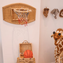 Load image into Gallery viewer, Natura Basketball Hoop and Ball