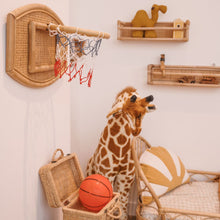 Load image into Gallery viewer, Natura Basketball Hoop and Ball