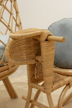 Load image into Gallery viewer, Natura Freddy Rattan Bouncer

